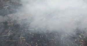 Kebakaran Hutan di Kawasan HPK Pinang Sabatang Tapan, Pesisir Selatan, Masih Terjadi